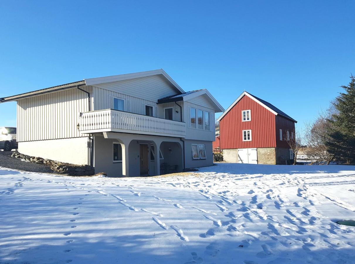 Lofoten Apartamento
